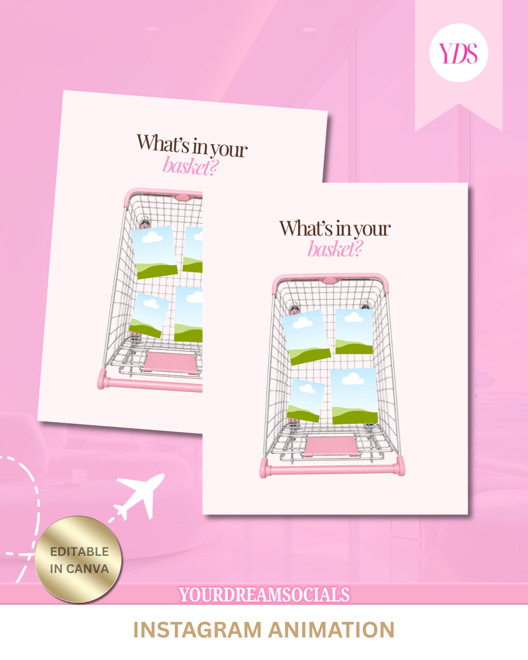 What's in your basket animation