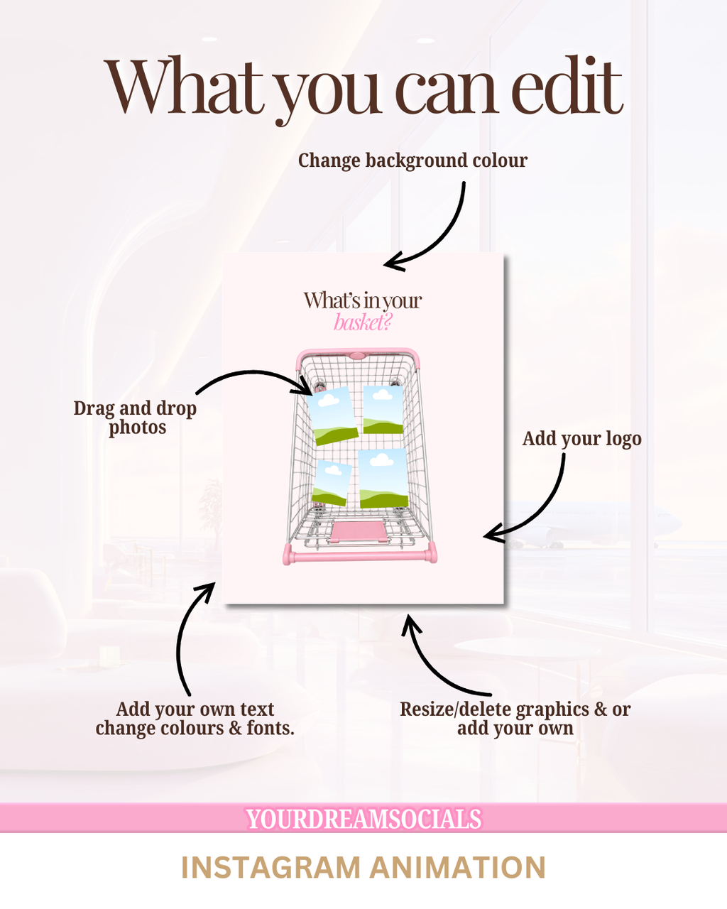 What's in your basket animation