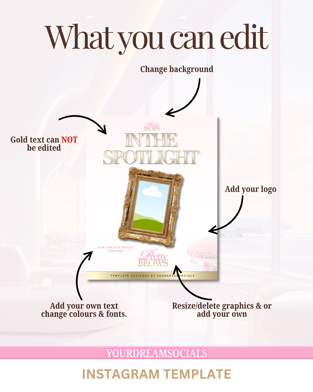 In the spotlight template